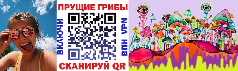Галлюциногенные грибы Cubensis  кракен рабочий сайт  Богучар 